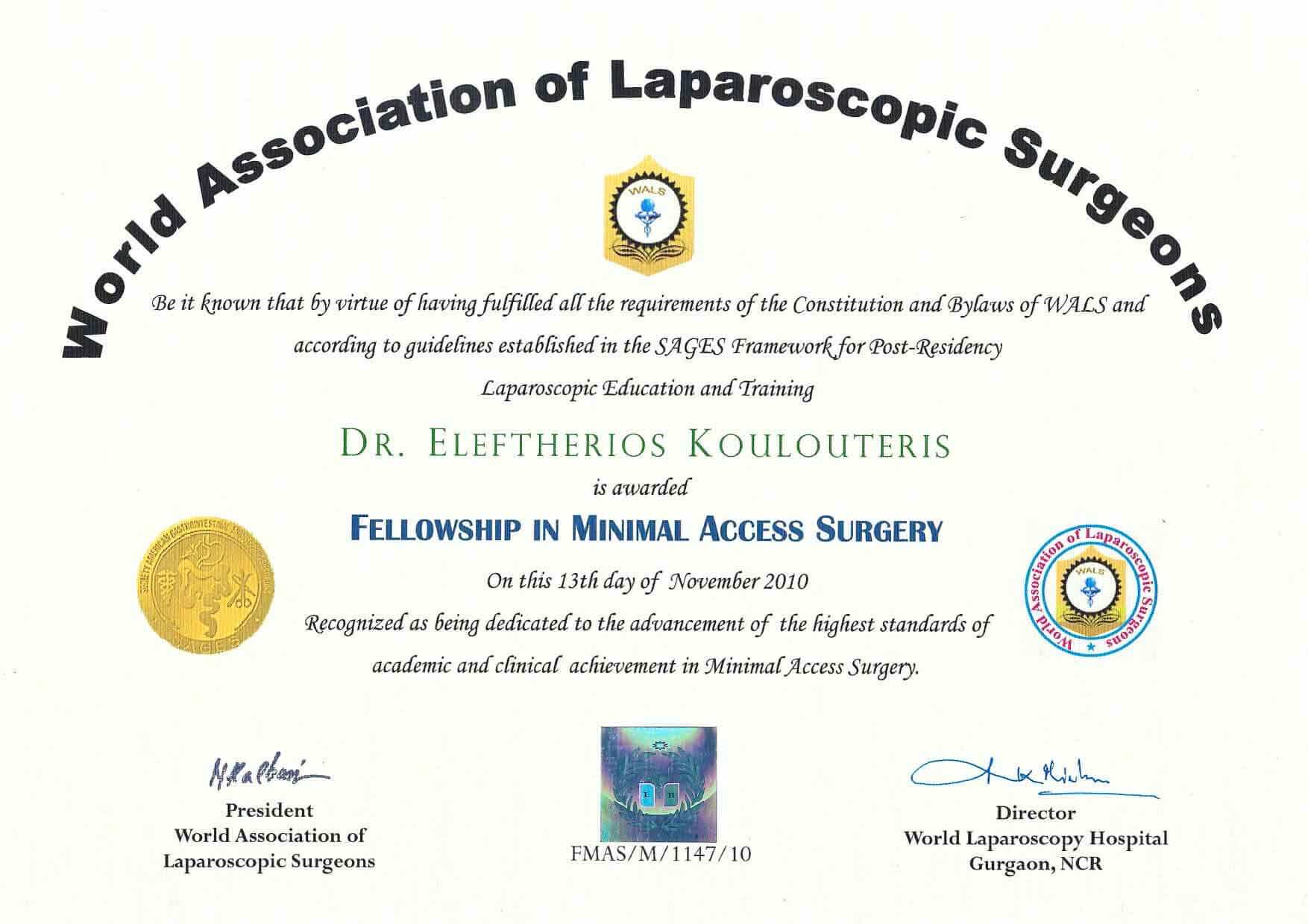 Παγκοσμια Ενωση Χειρουργων Λαπαροσκοπικη F.MAS Fellow Ελαχιστη Επεμβατικη Χειρουργικη